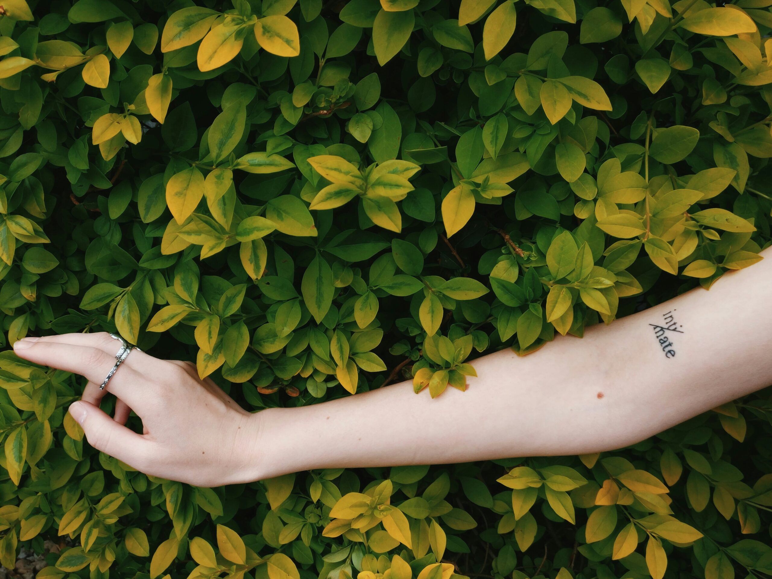 A tattoo showing visible signs of fading due to improper care