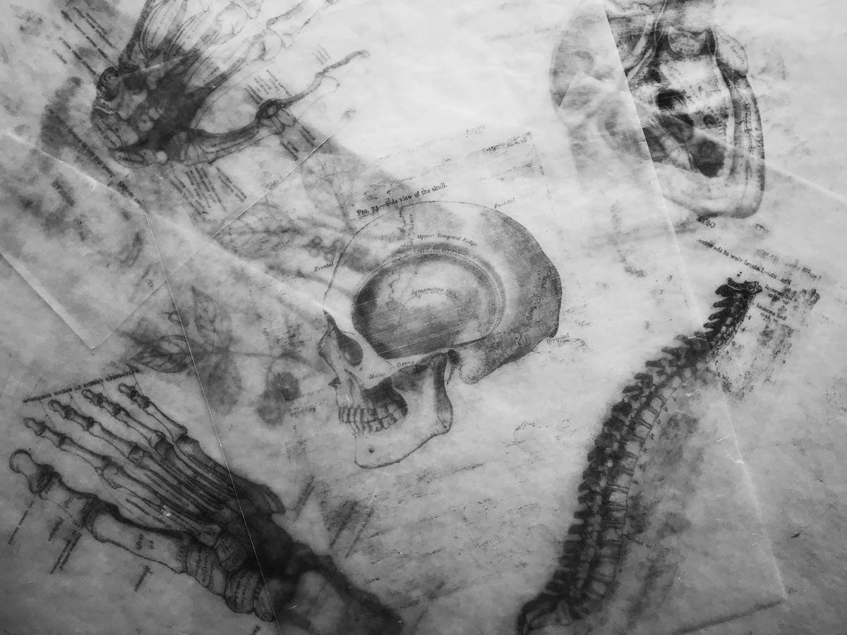I was feeling some Halloween spirit in studio today after I found some of my old wax transfers of medical drawings! The diagrams are from the Grey’s Anatomy medical book. Happy Halloween!